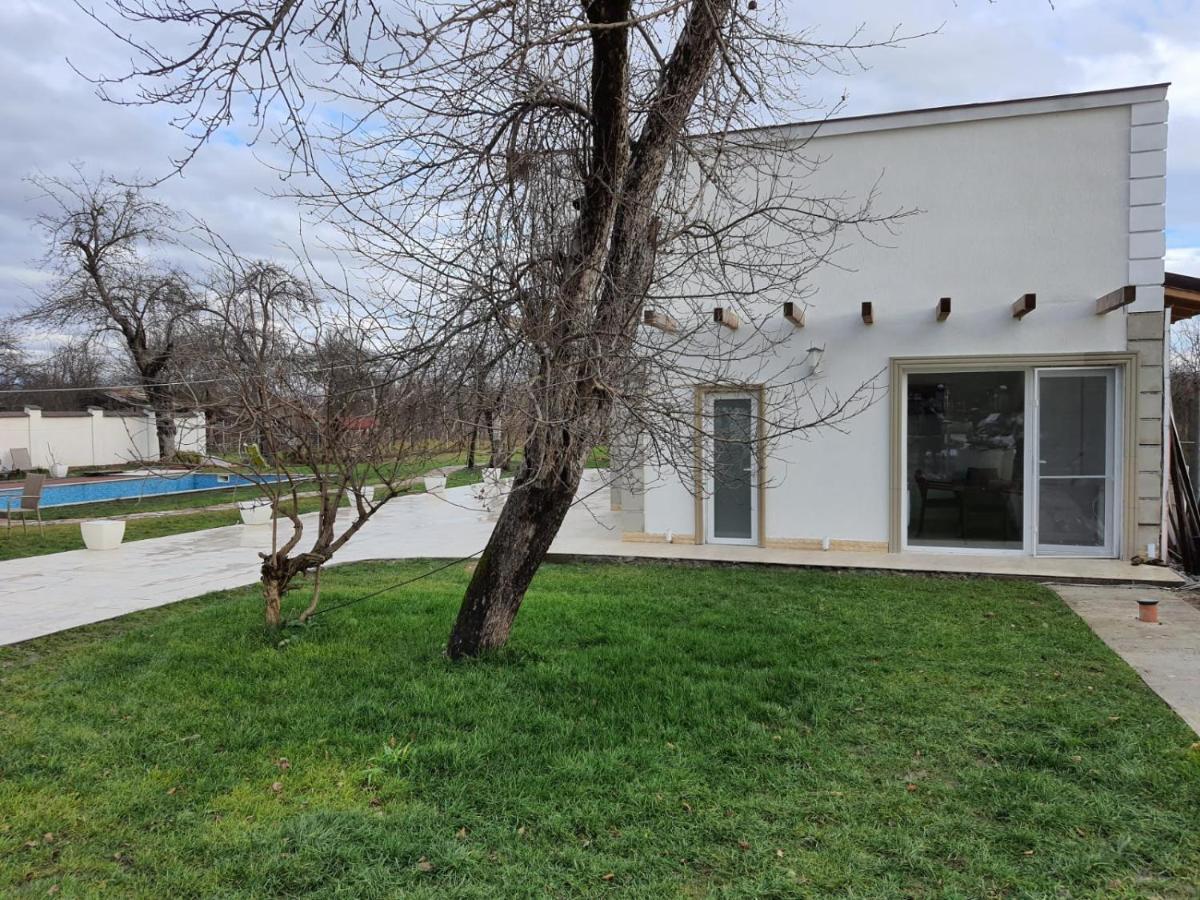 Pensiunea Groza Târgu Jiu Exterior foto